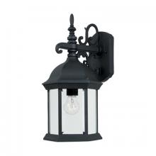 Designers Fountain 2971-BK - Devonshire 16.5" 1-Light Outdoor Wall Lantern