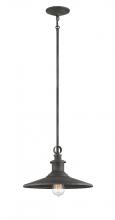 Designers Fountain D207M-14P-WP - Aurora 1 Light Pendant