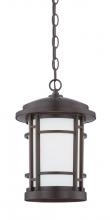 Designers Fountain LED22434-BNB - 9" LED Hanging Lantern