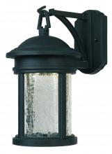 Designers Fountain LED31121A-ORB - 9" LED Wall