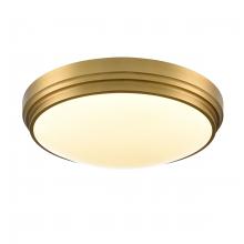 DVI DVP33048BR-5CCT - ALGOMA 17" LED FLUSH MOUNT