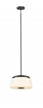 DVI DVP48520EB-TO - ROBSON HALL 13" PENDANT