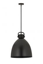 Innovations Lighting 712-1S-BK-M712-18BK-LED - Newton Bell Pendant