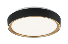 Matteo Lighting M10601BKGL - Alamus Ceiling Mount