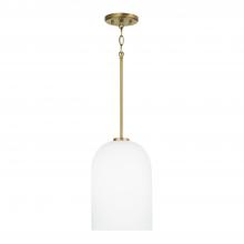 Capital 348811AD - 1 Light Pendant