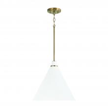 Capital 350112AW - 1 Light Pendant