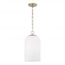 Capital 355811MA-554 - 1 Light Pendant