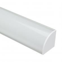 American Lighting PE-RADXL-LENS - RADIUS XL LENS