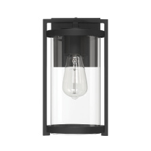 Hunter 46066 - Hunter Astwood Matte Black with Clear Glass 1 Light