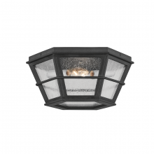 Troy C2514-FRN - Lake County Exterior Flush Mount