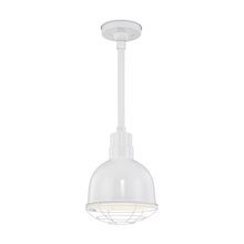 Millennium RDBS10-WH - R Series 1-Light Stem Hung Deep Bowl Shade White